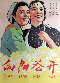 无毛白虎一线天